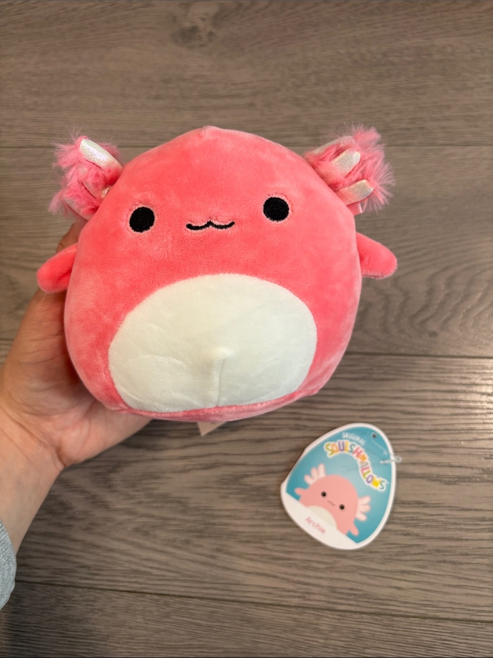 5” Archie Squishmallow BNWT